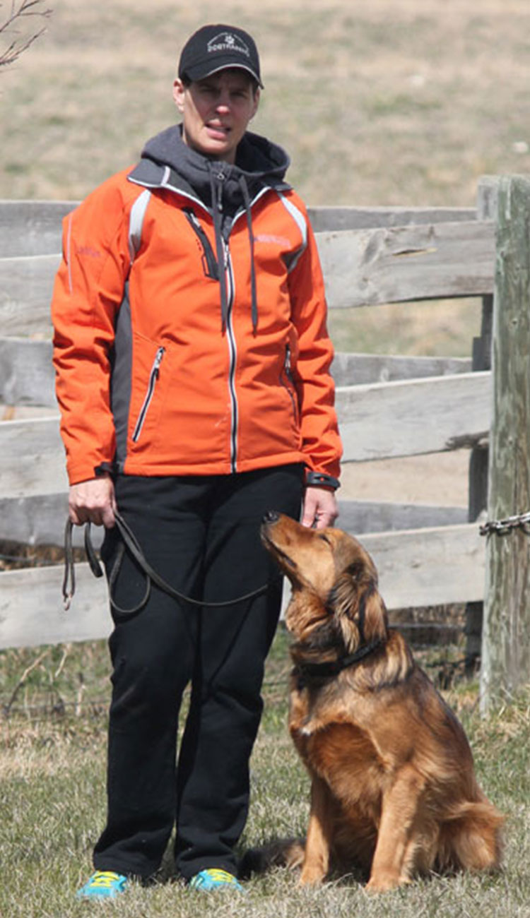 Absolutely Stirling Dog Training Absolutely Stirling Dog Training