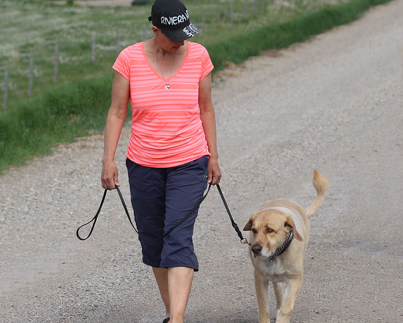 A sensible, effective approach to dog training A sensible, effective approach to dog training