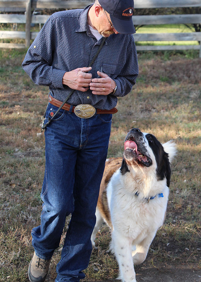We train dogs and educate owners We train dogs and educate owners