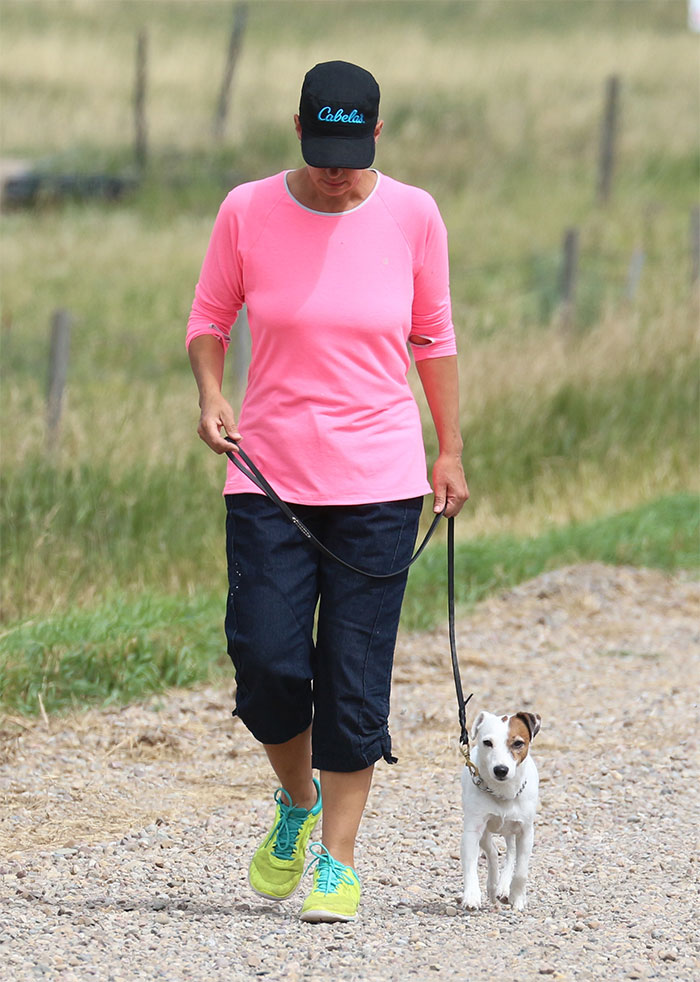 We train dogs and educate owners We train dogs and educate owners