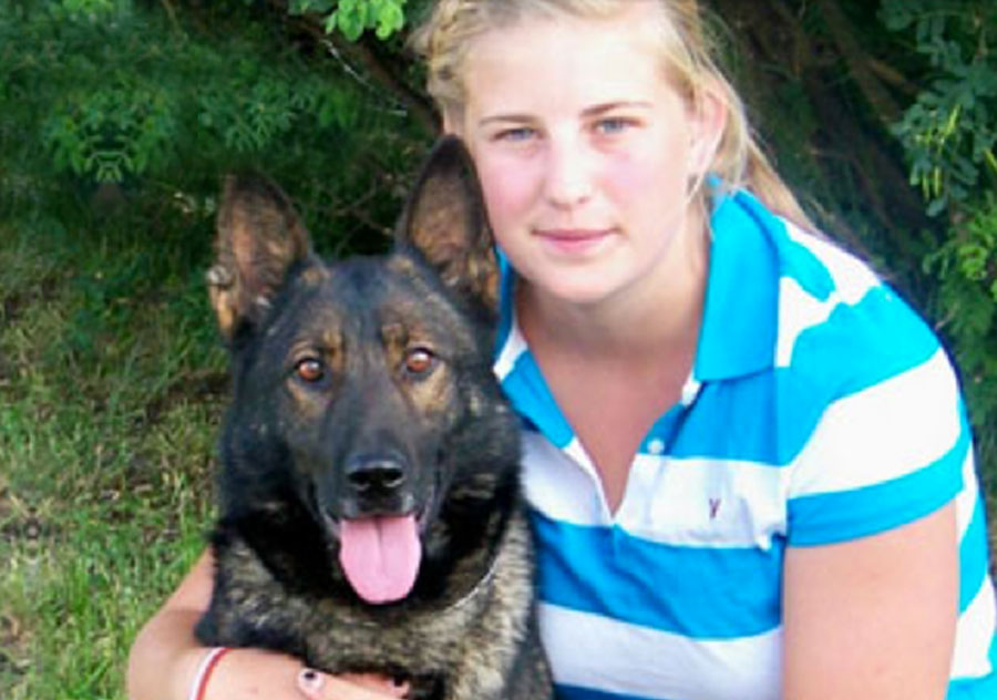 Haus Stirling Kennels Protection Dogs Haus Stirling Kennels Protection Dogs