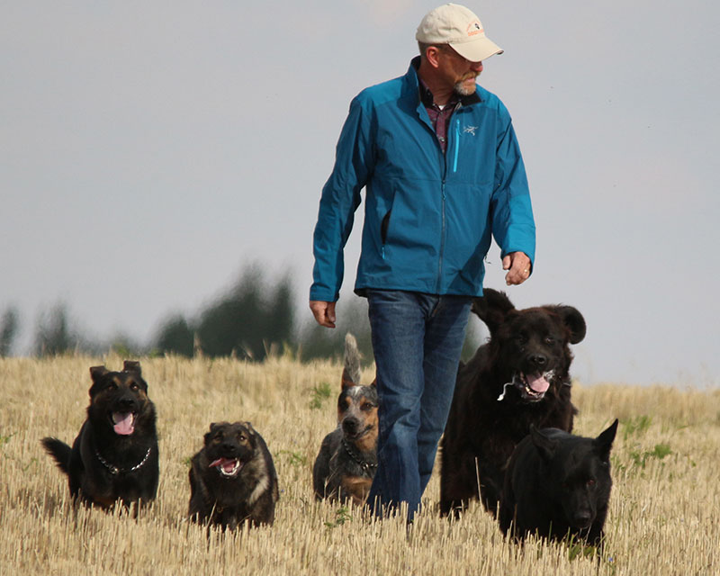 We train dogs and educate owners We train dogs and educate owners